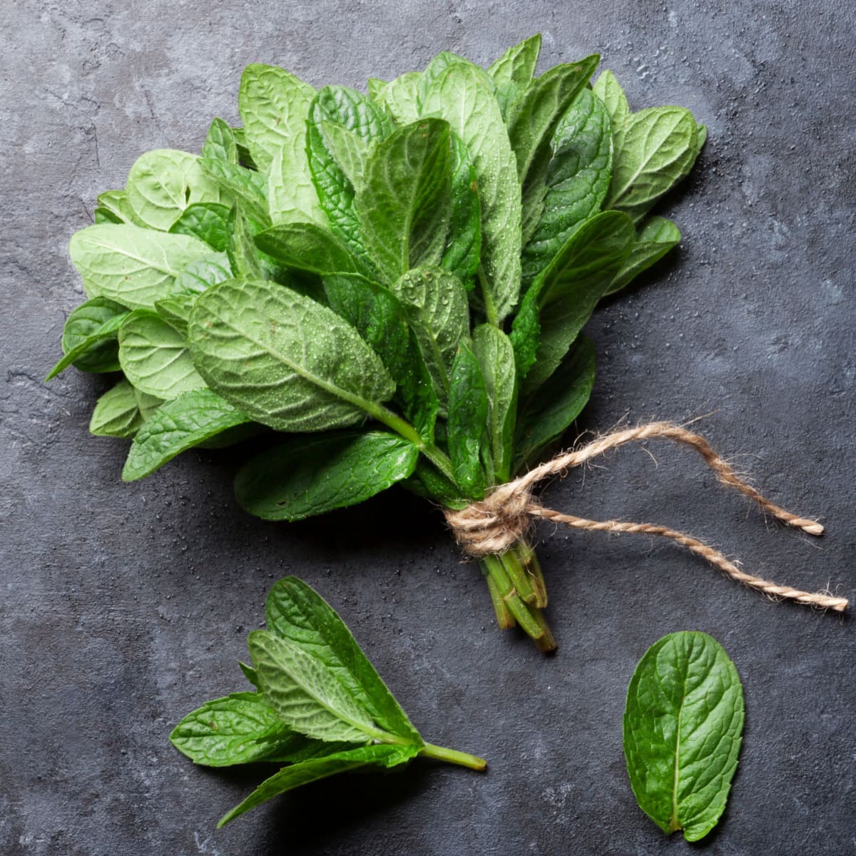 Bunch of Rope Tied Fresh Mint Leaves
on Stone Background