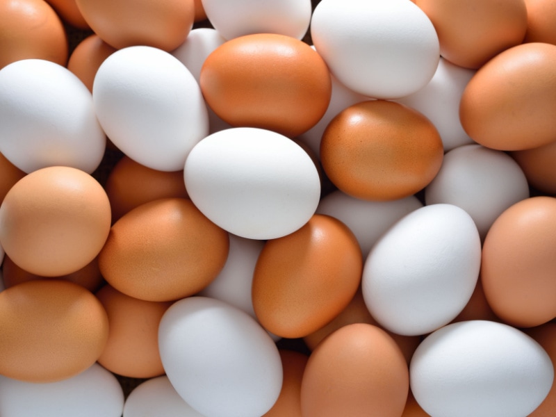 Mixed Color Chicken Eggs