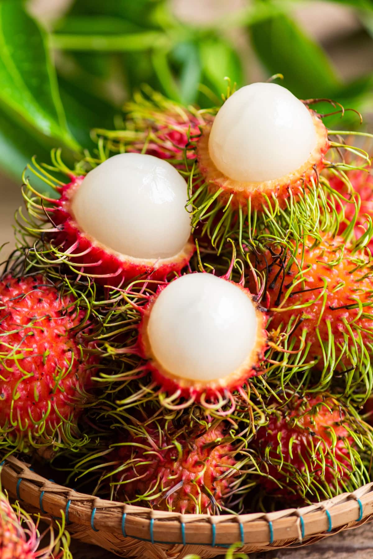 Rambutan vs. Lychee (What's the Difference?) featuring Bunch of Rambutan in a Bamboo Basket