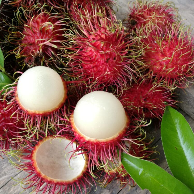 Rambutan Vs Lychee Whats The Difference Insanely Good 