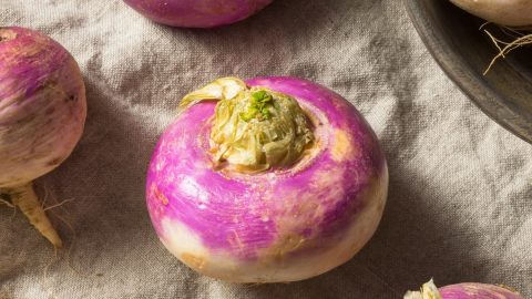 Turnip vs. Rutabaga- What is the Difference? - Insanely Good
