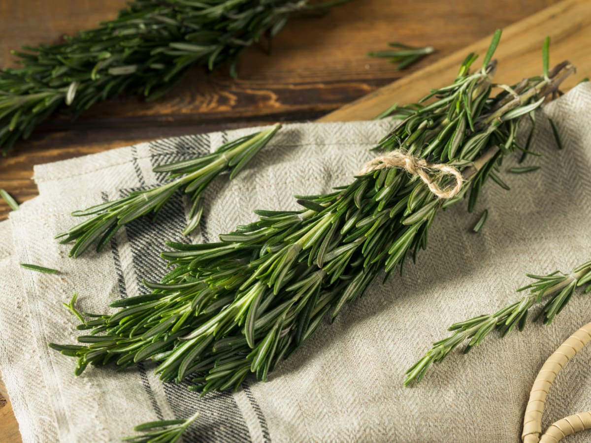 Raw Green Organic Rosemary Herbs on a Rustic Cloth