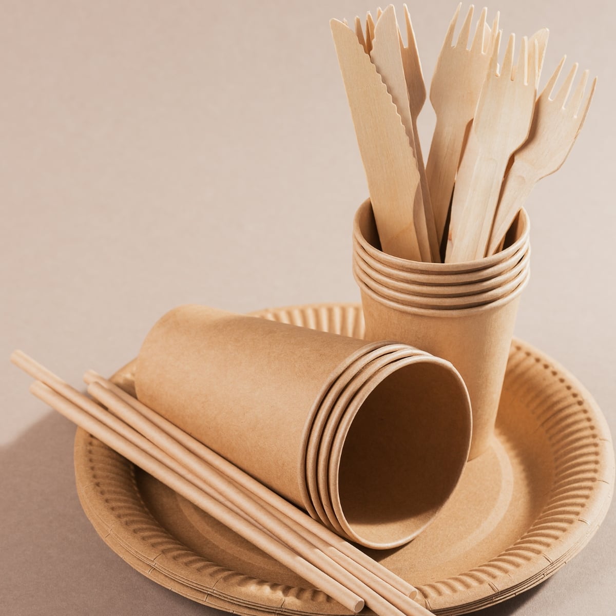 Utensils Made Form Paper and Wood
