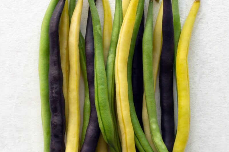10 Different Types of Green Beans (Most Common Varieties)