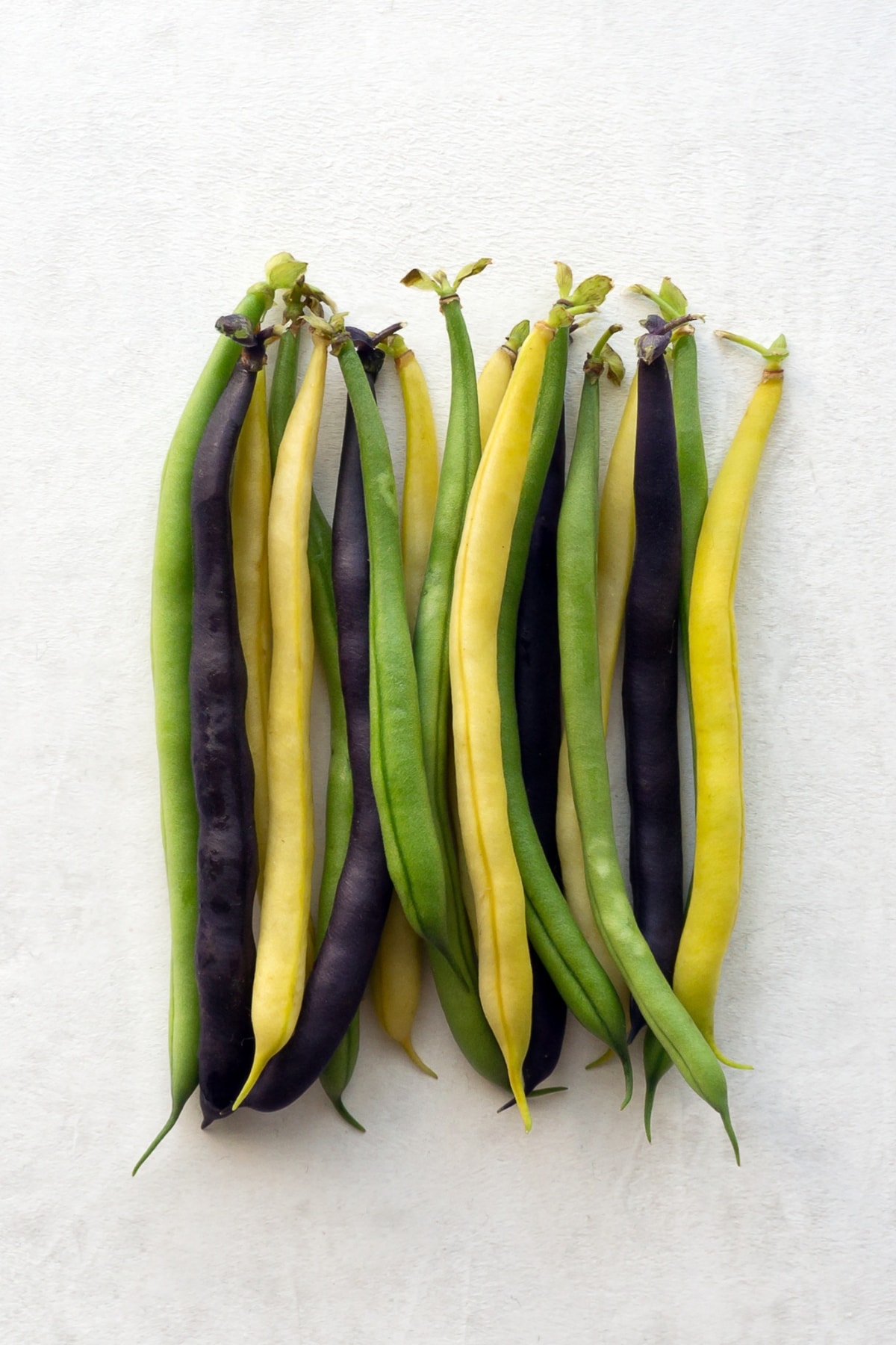Variety of Organic, Yellow, Purple and Green String Beans