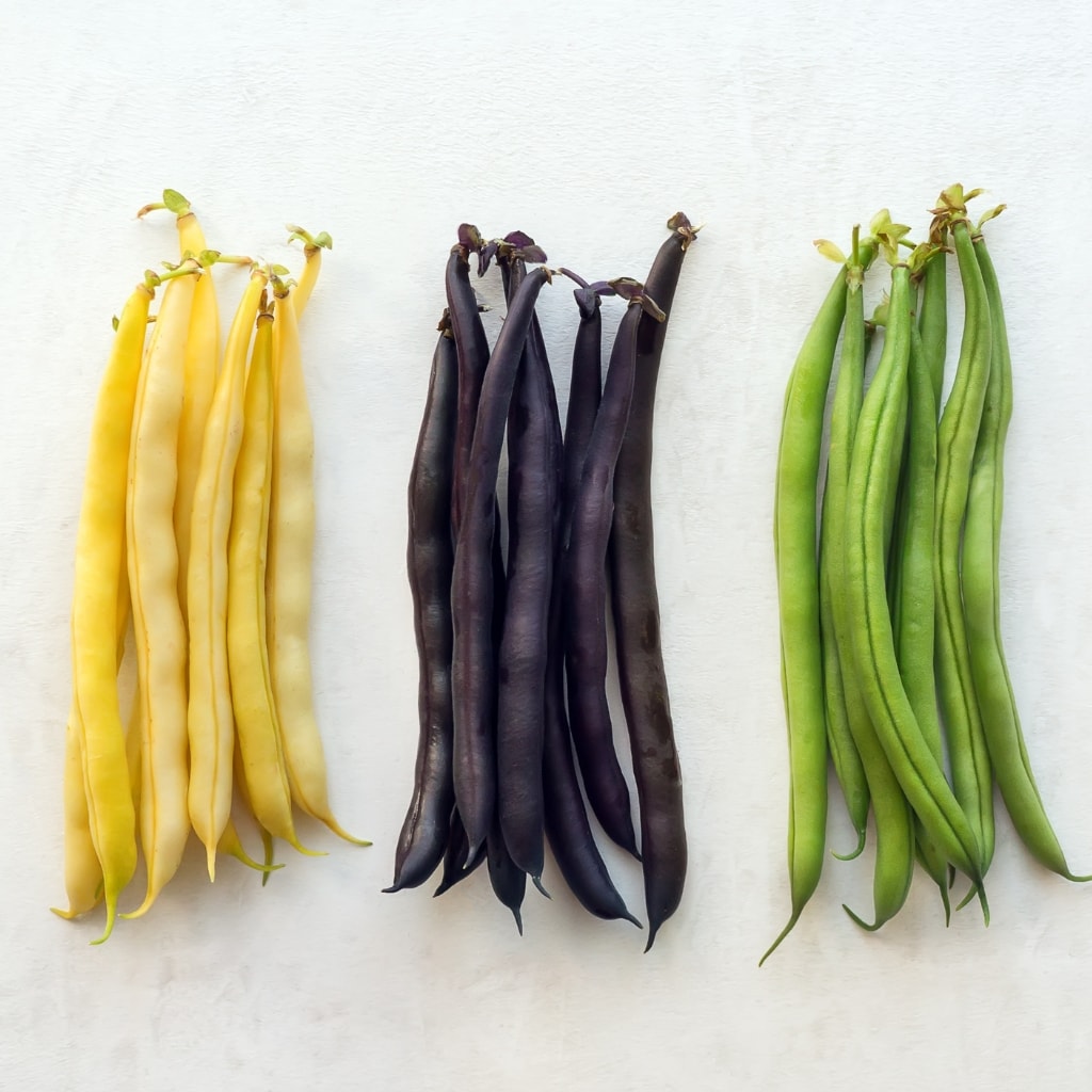 Variety of Yellow, Purple and Green String Beans