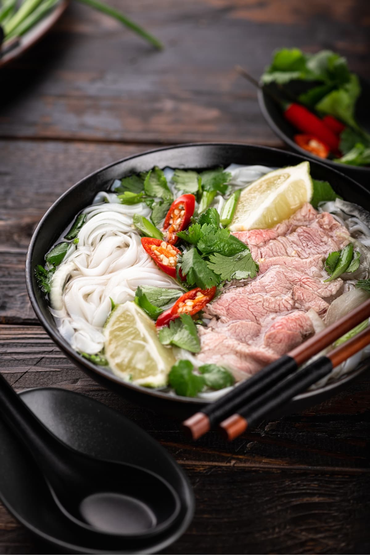 Vietnamese Pho Soup with Beef and Noodles