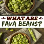 What Are Fava Beans?