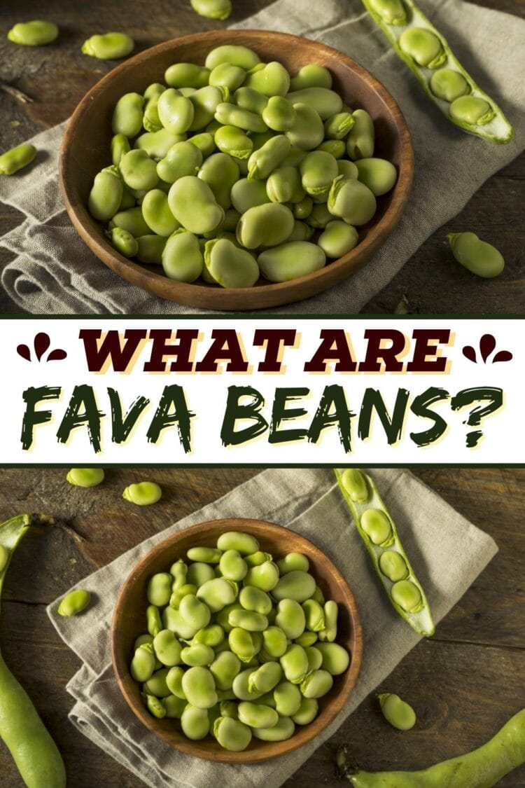 What Are Fava Beans? (All You Need To Know) Insanely Good