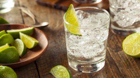 Gin and Tonic Cocktail