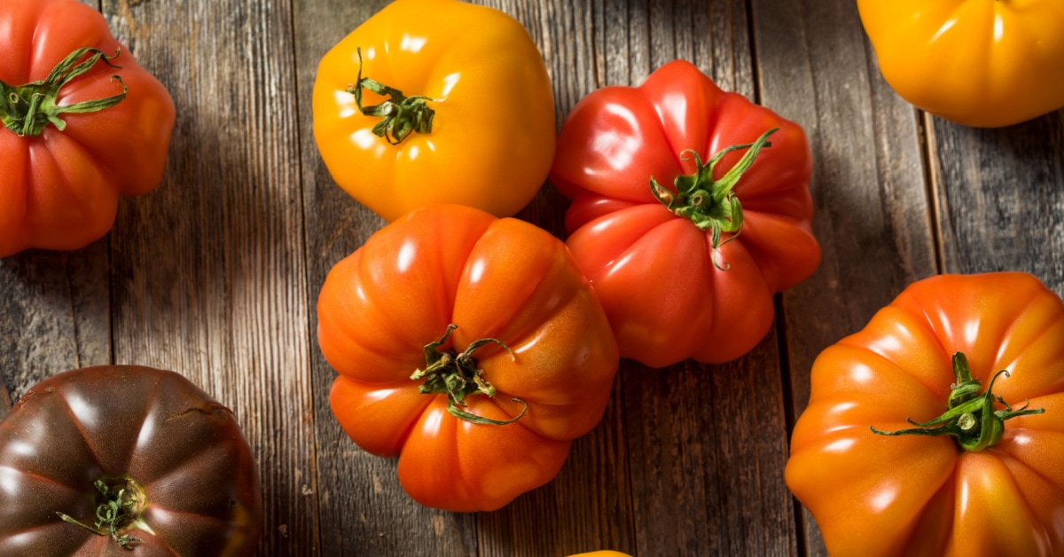 What Are Heirloom Tomatoes? (+ How to Use Them) Insanely Good