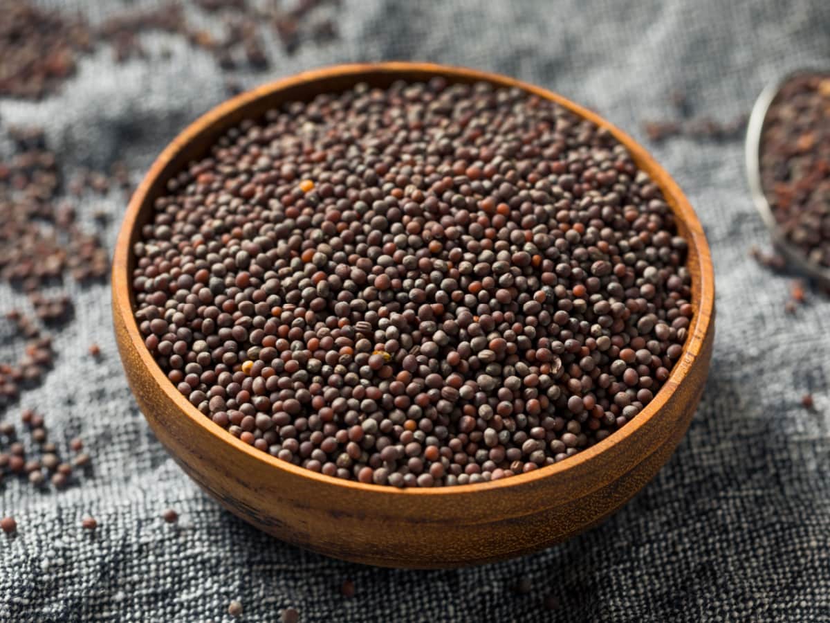 Raw Organic Brown Mustards Seeds in a Wooden Bowl on a Cloth with Mustard Seeds Around