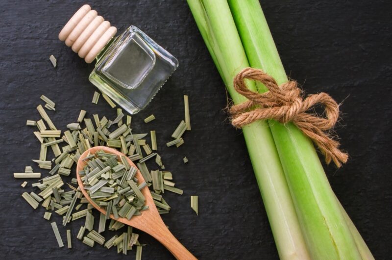 10 Lemongrass Substitutes (+ Best Alternatives)