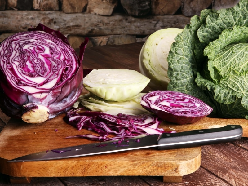 Raw Organic Red and Green Cabbage