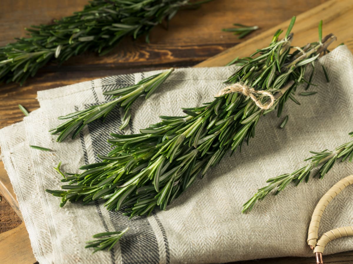 Raw Green Organic Rosemary Herbs on a Table Cloth on a Wooden Table