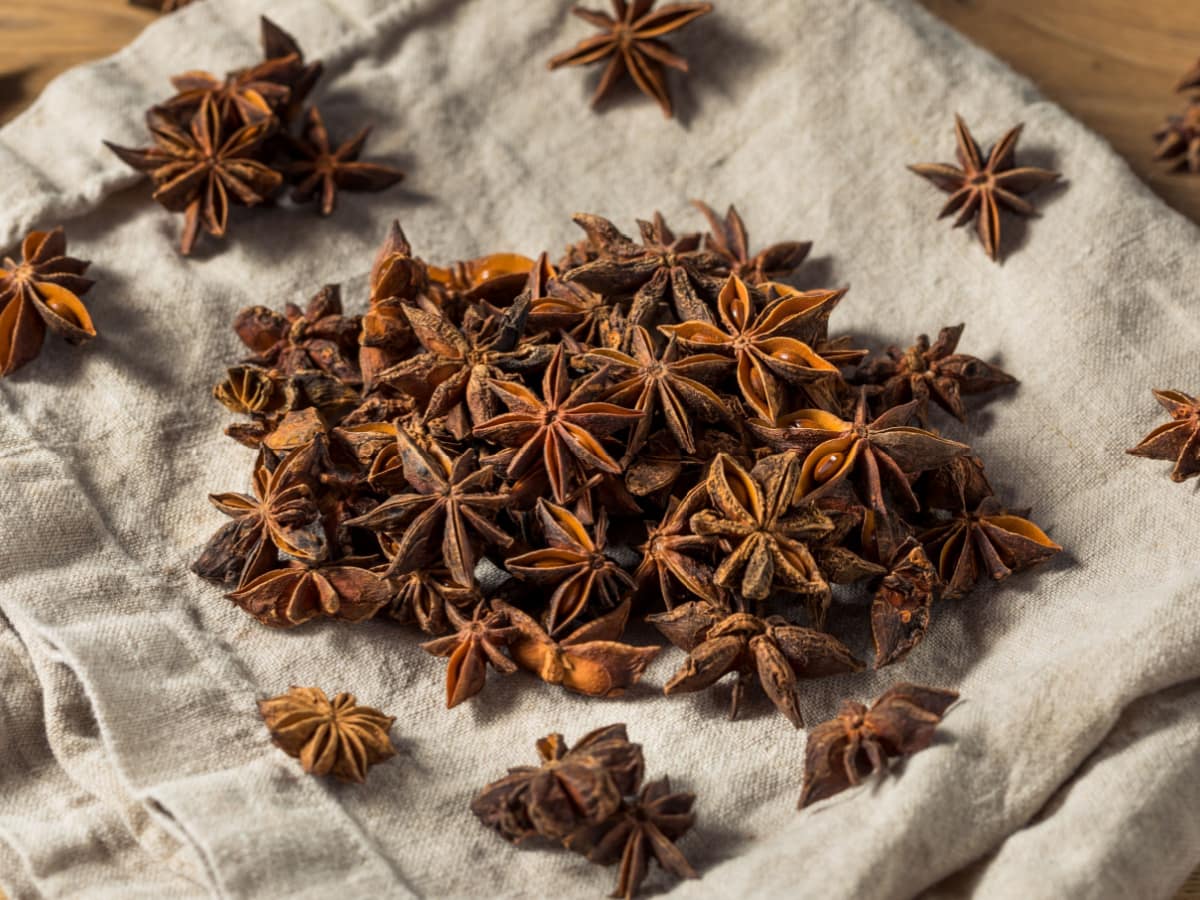Raw Brown Organic Star Anise Spice in a Bunch