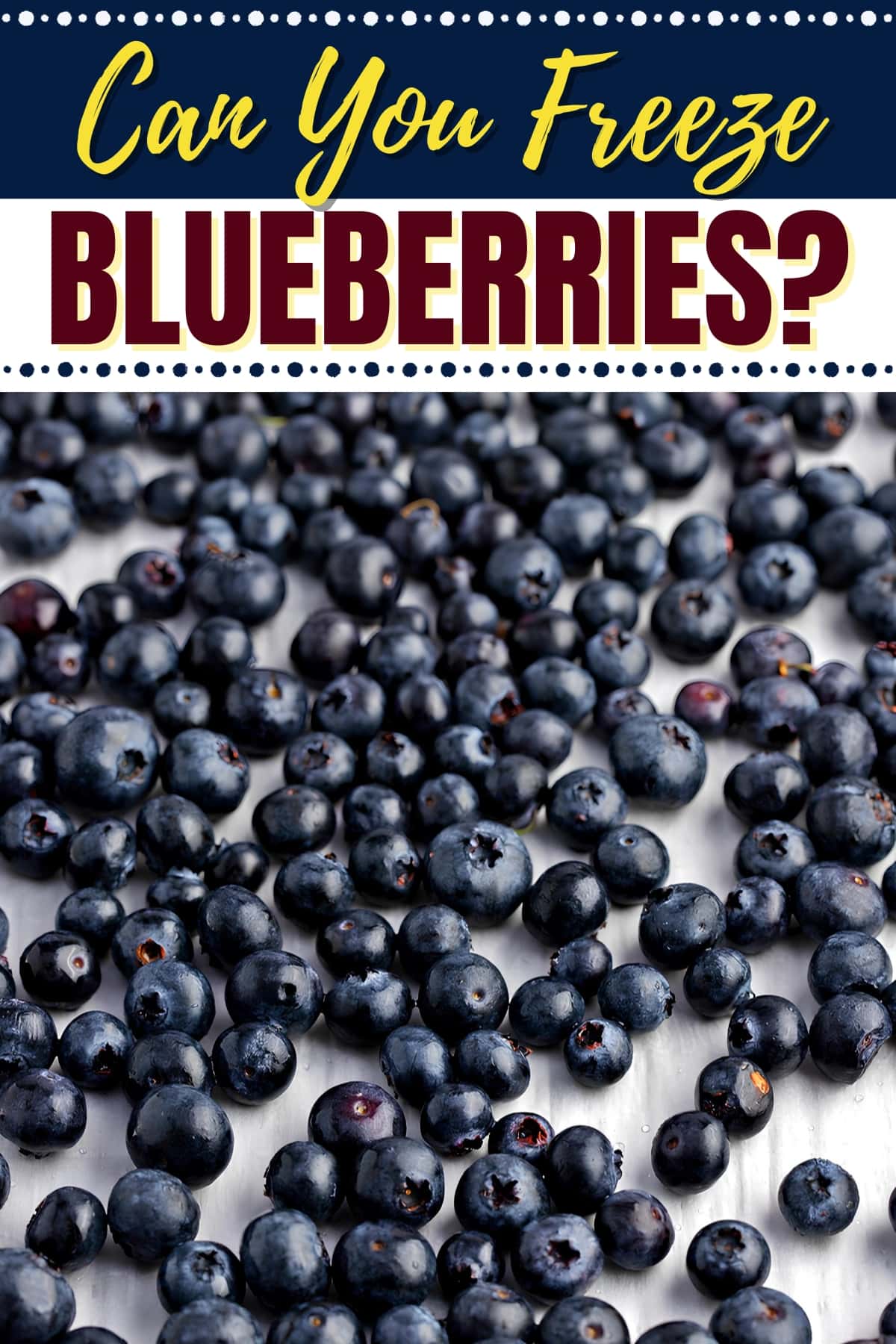 Can You Freeze Blueberries?
