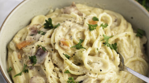 Pasta with creamy sauce and shredded chicken meat served on a bowl with fork.