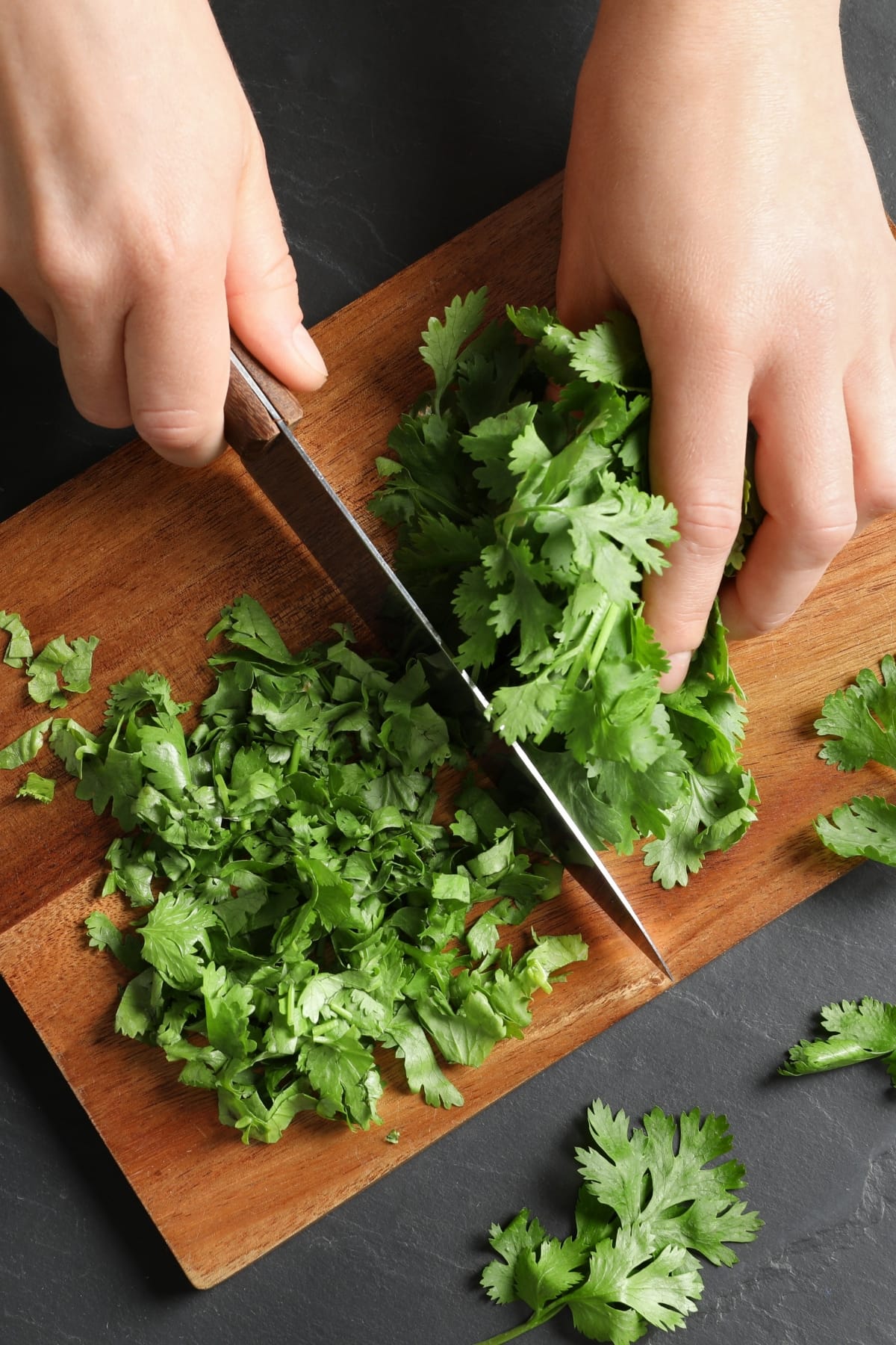 Chopping Green Cilantro on a Wooden Board
