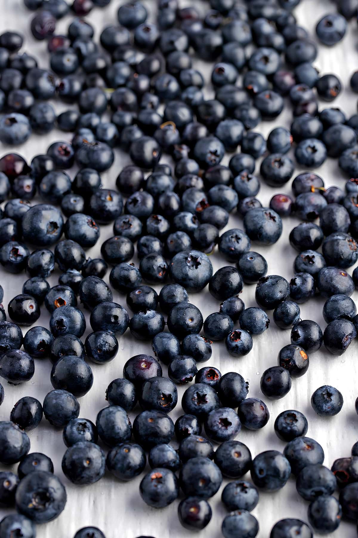 Fresh Blueberries on a Baking Sheet