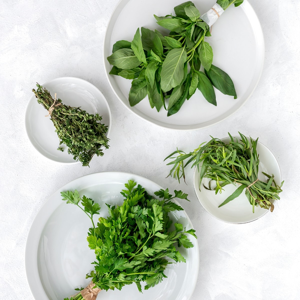 Fresh Herbs with Mint, Thyme and Basil