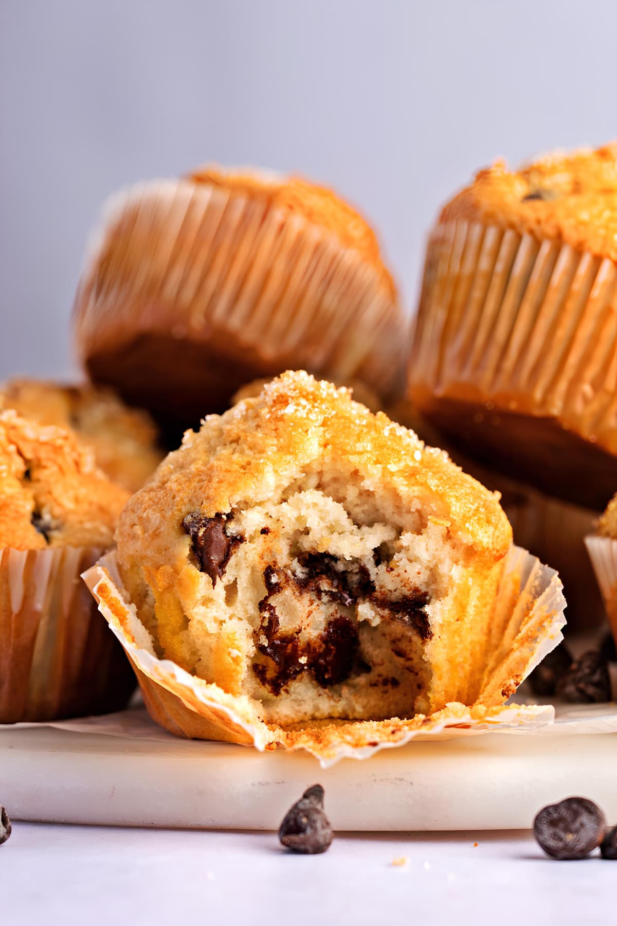 Homemade Soft and Moist Chocolate Chip Muffins