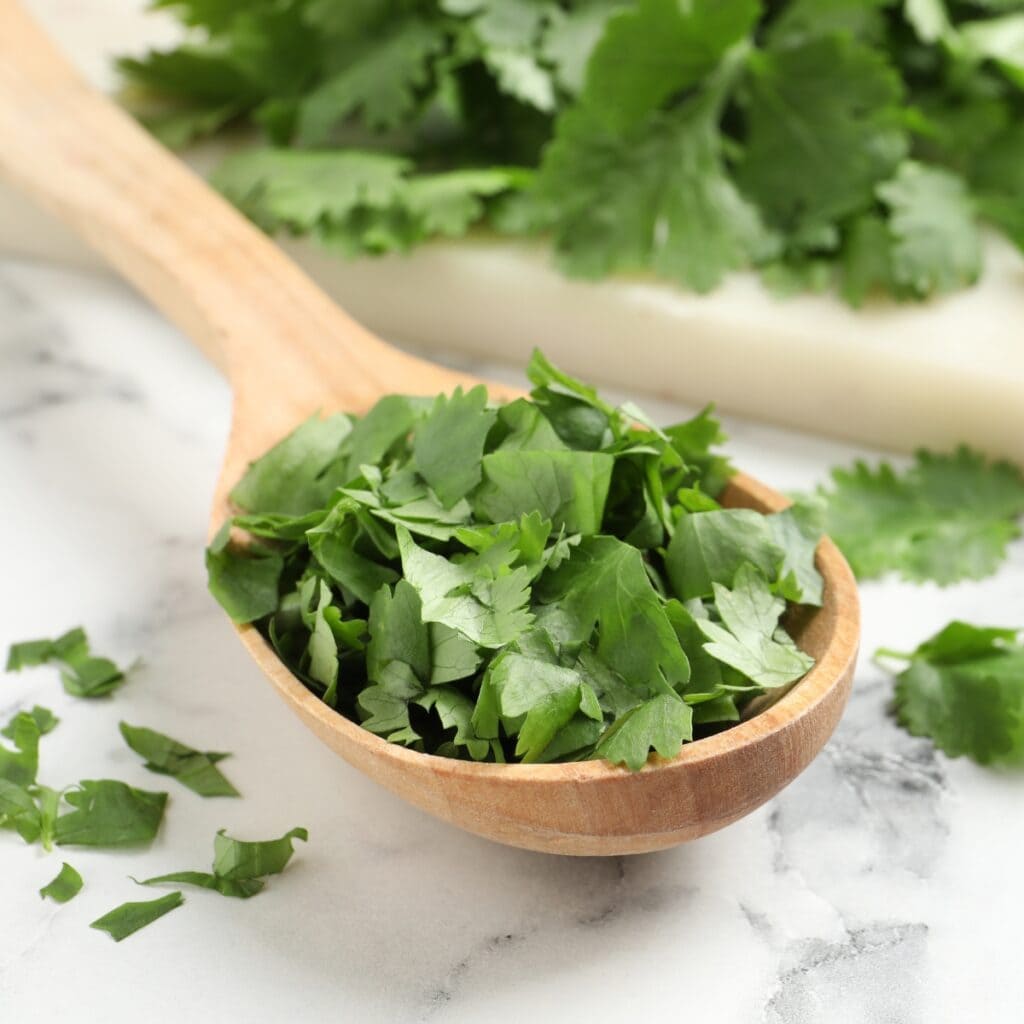13 Best Cilantro Substitutes Dried And Fresh Alternatives Insanely Good
