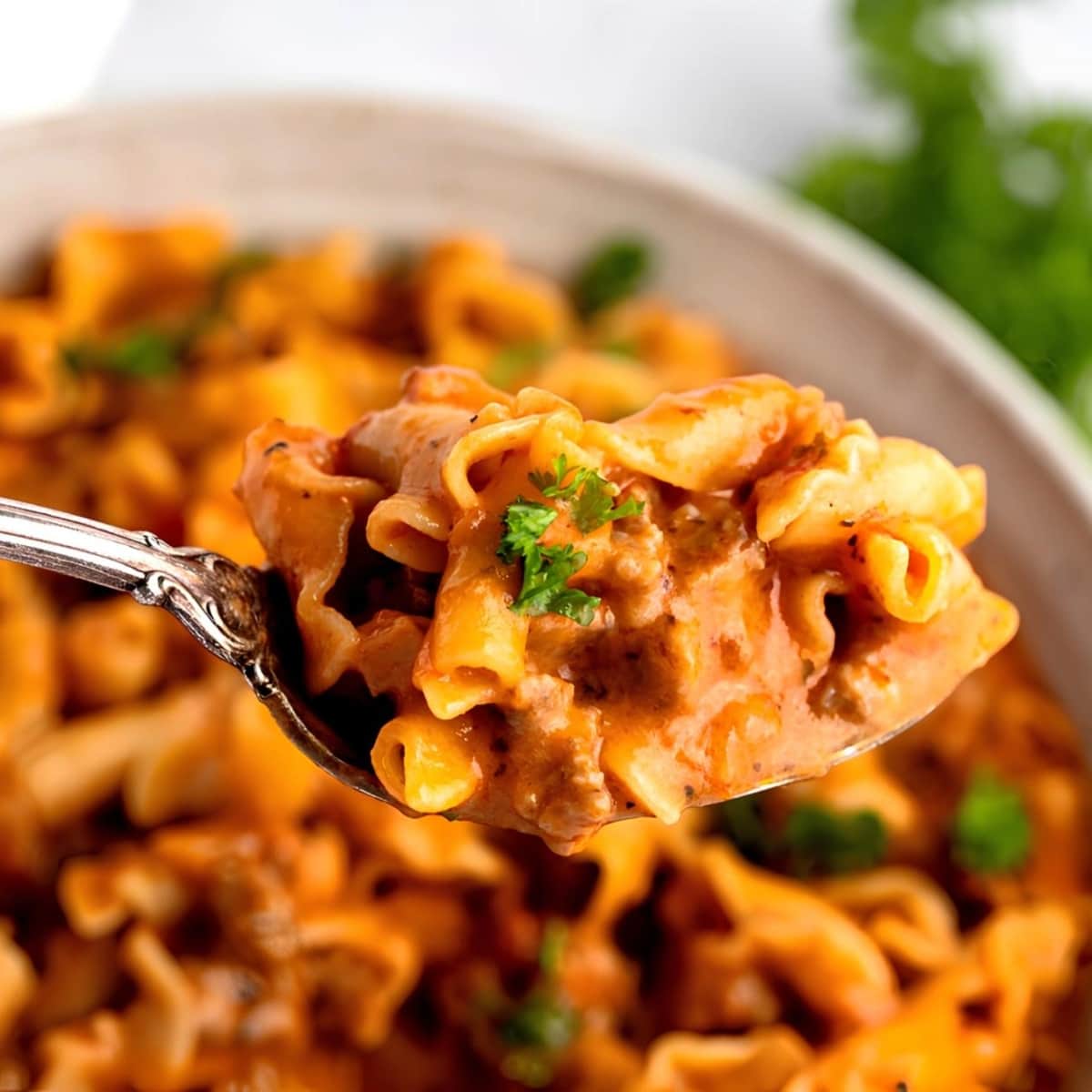 A spoonful of hamburger helper pasta with meaty sauce