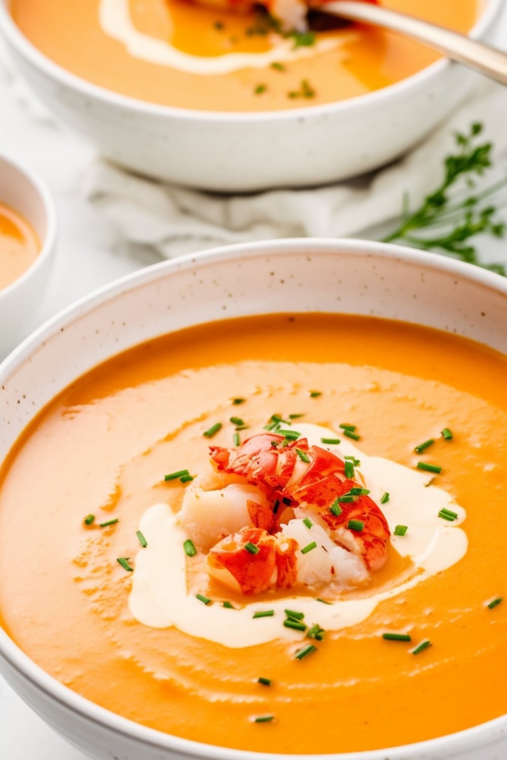 Closeup of lobster bisque served in white bowl. 