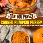 Can You Freeze Canned Pumpkin Puree?