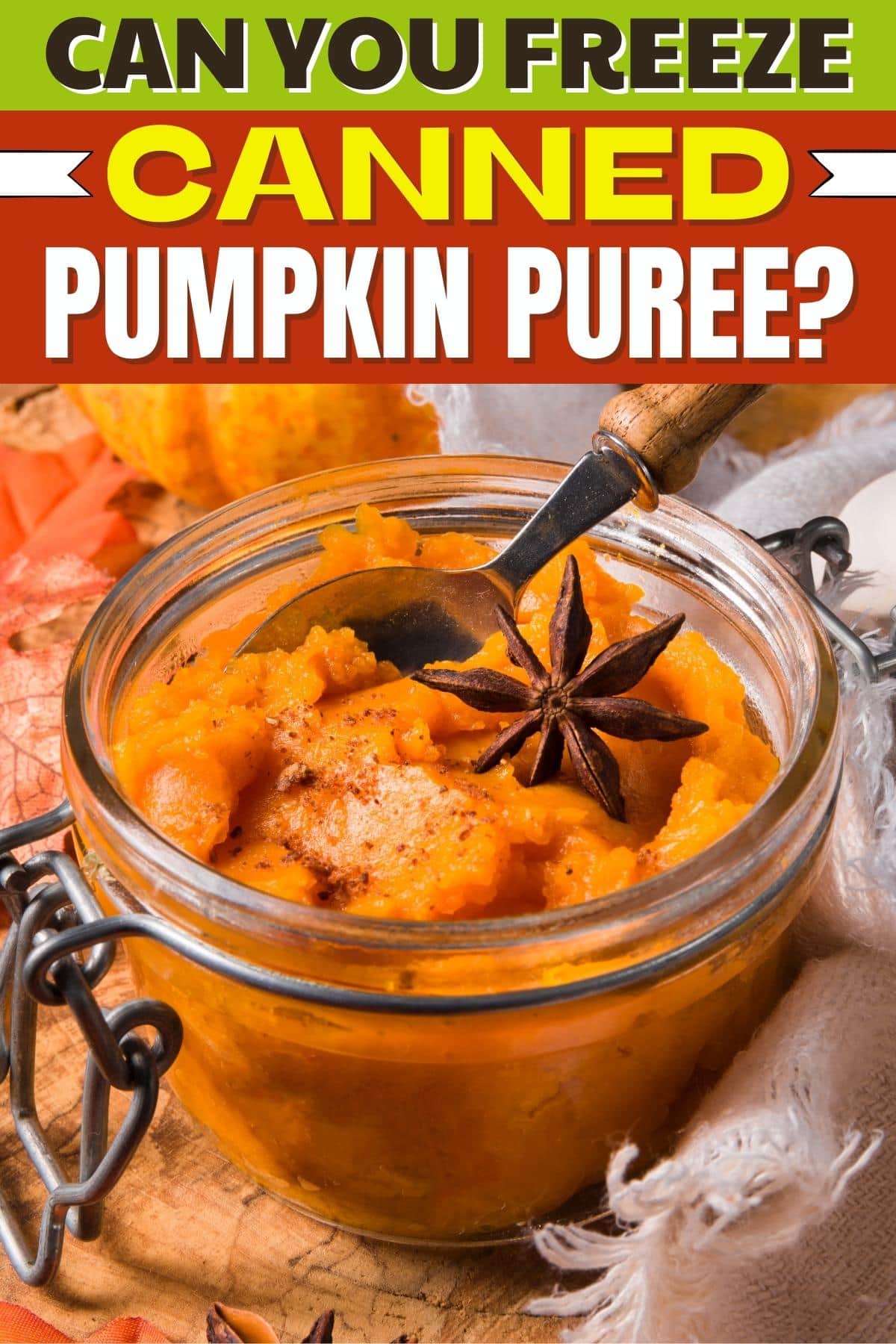 Can You Freeze Canned Pumpkin Puree?