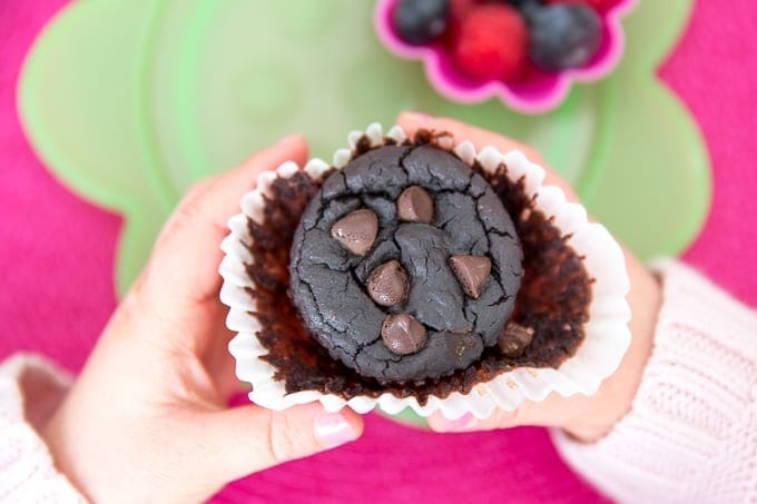 Chocolate Lentil Protein Muffins with chocolate chips on top