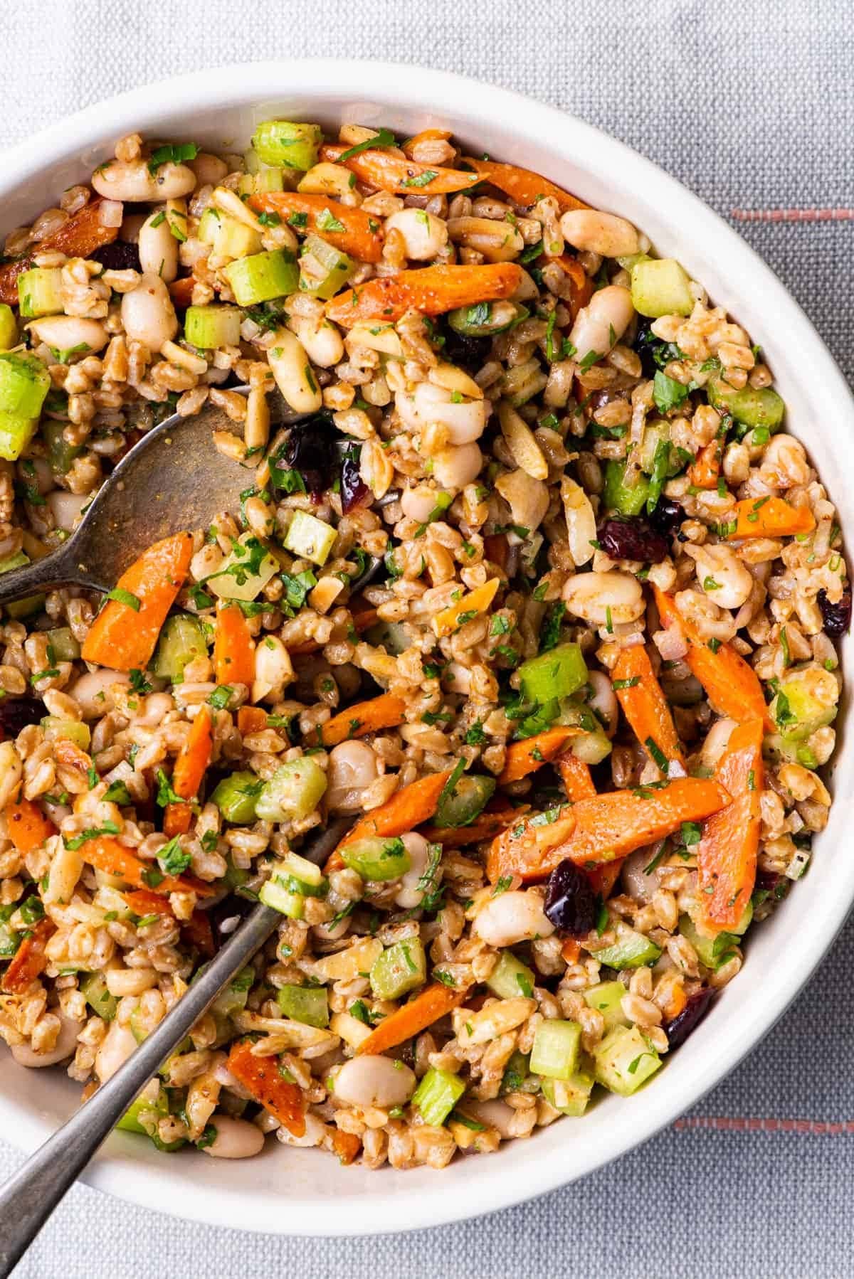 Fall farro salad with carrots and cranberries in a bowl with spoon. 