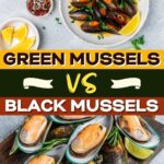 Green Mussels vs. Black Mussels