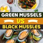 Green Mussels vs. Black Mussels