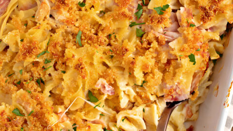 Homemade Chicken Cordon Bleu with Egg Noodles, Ham and Cheese