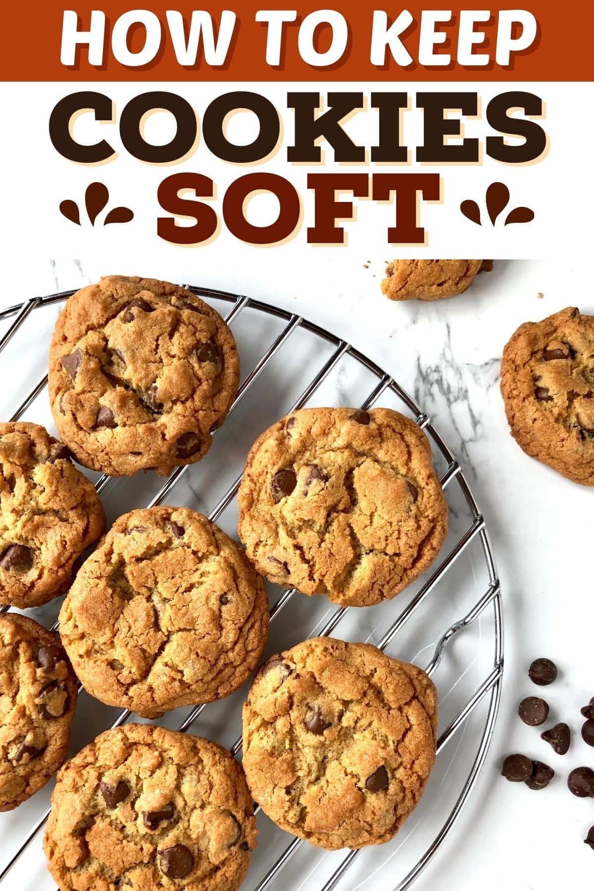 How to Keep Cookies Soft  Easy Baking Tips and Recipes: Cookies