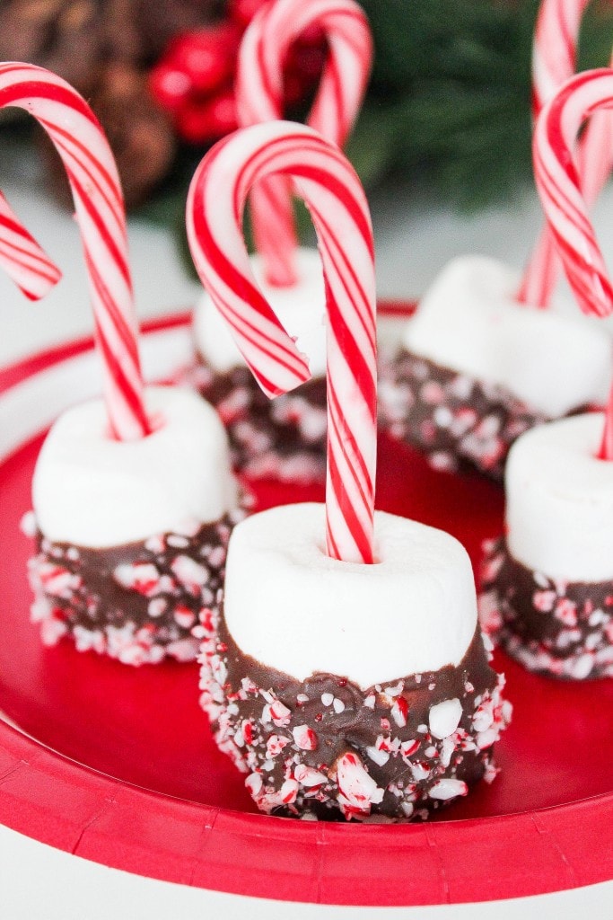 Sweet Homemade Peppermint Chocolate Covered Marshmallows