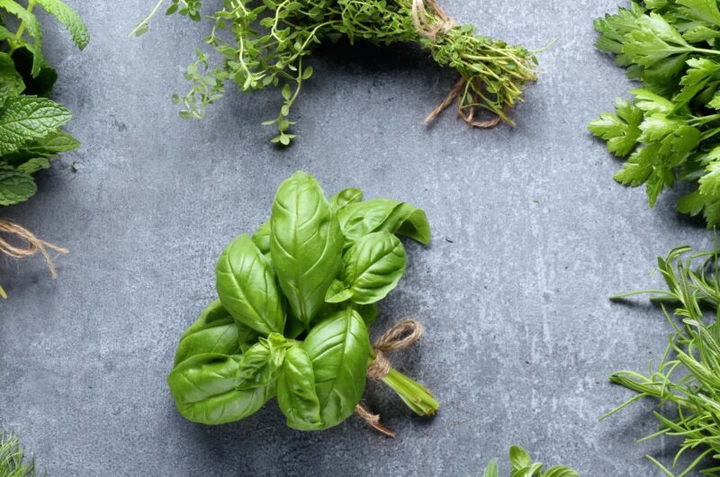 17 Types of Herbs (+ How to Use Them!)