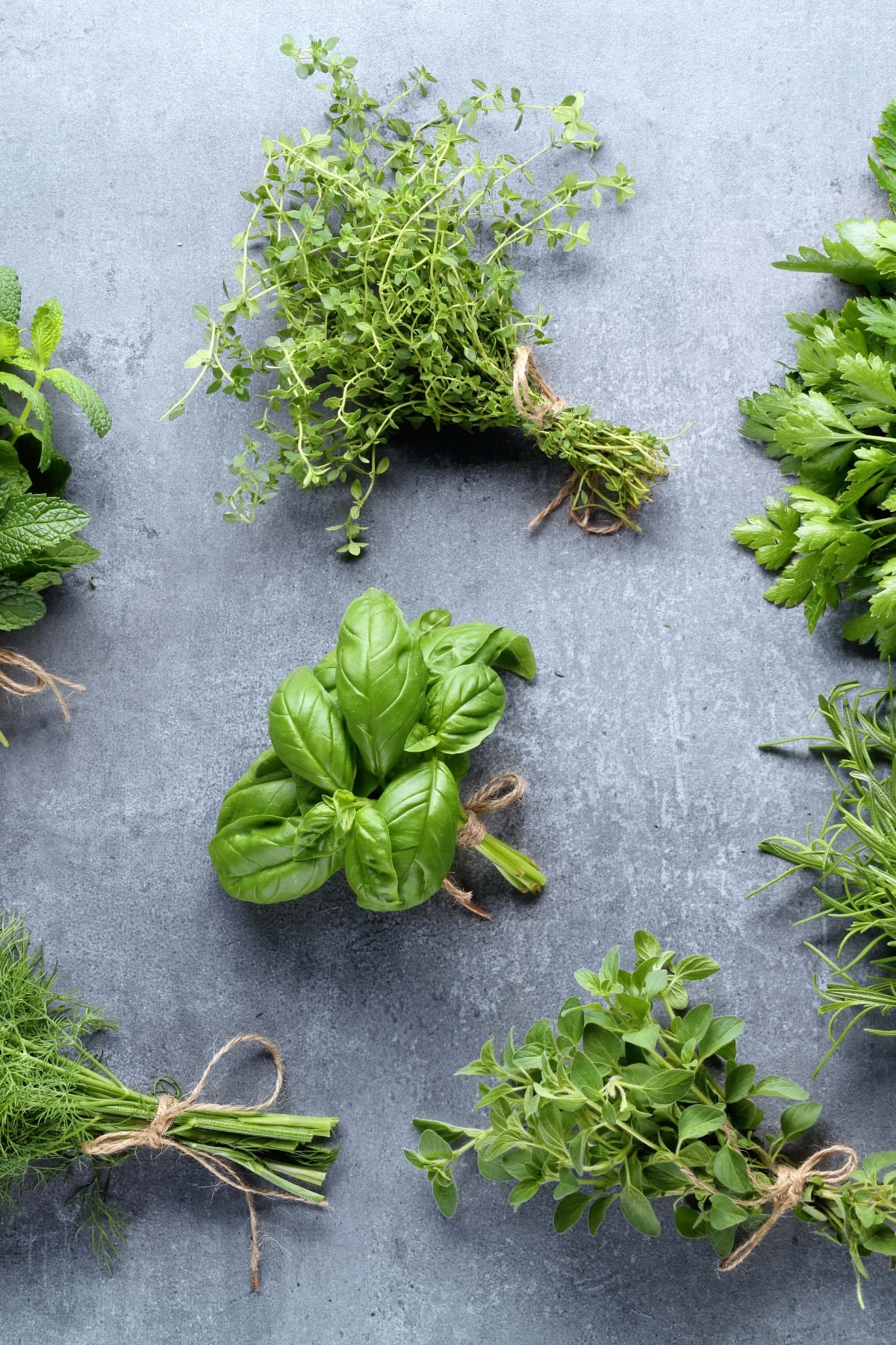 Raw Organic and Fresh Green Herbs