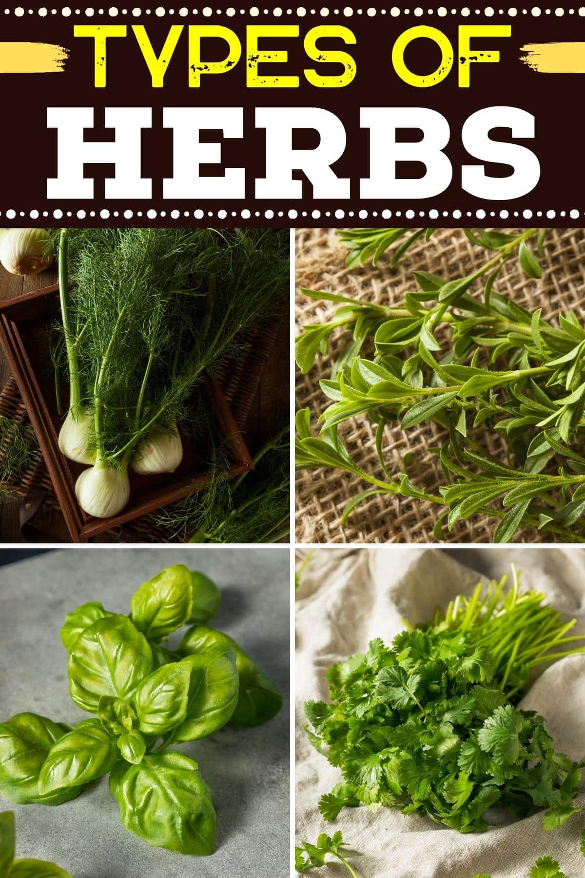 Types of Herbs