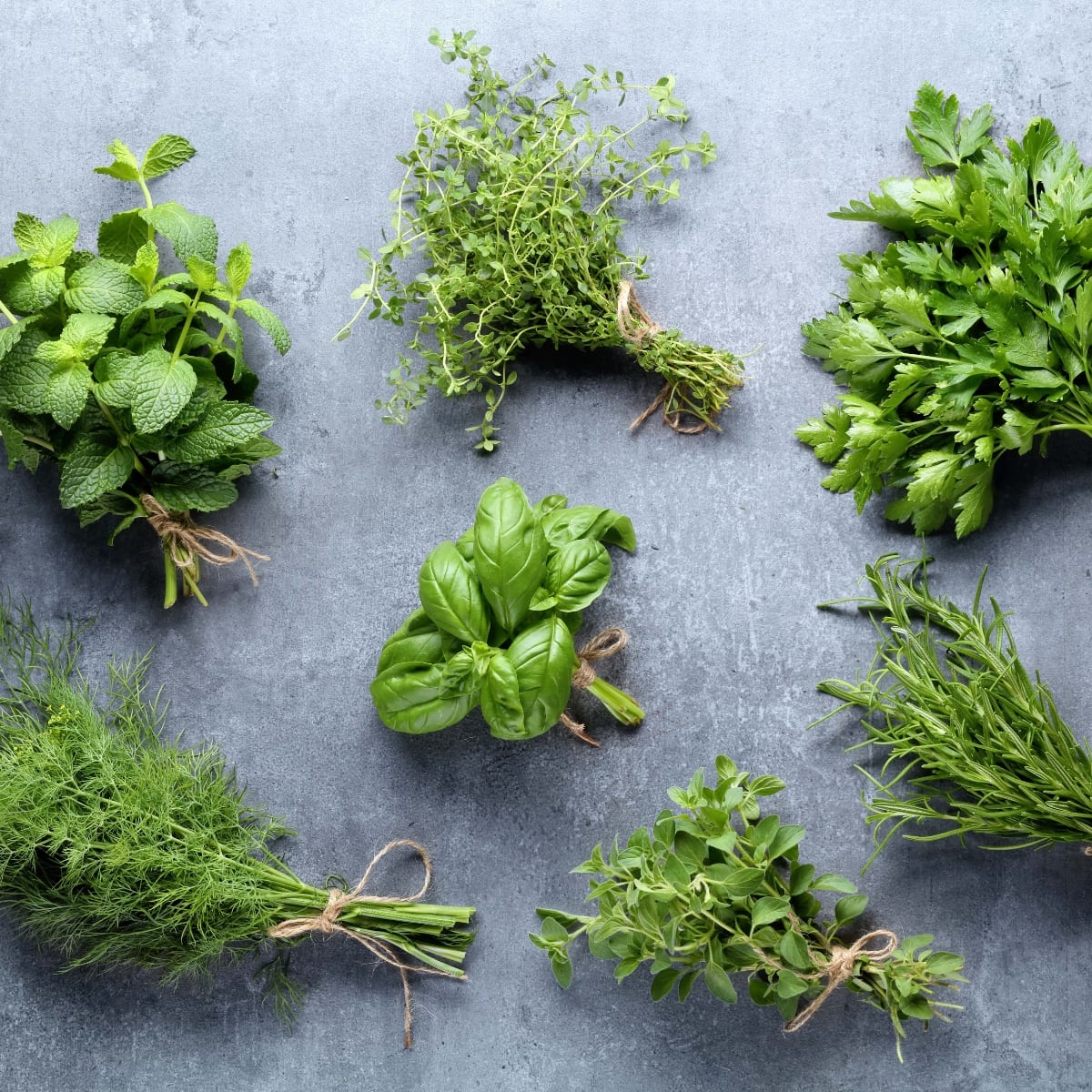 17 Types of Herbs (+ How to Use Them!) featuring Various Fresh Herbs on a Gray Background