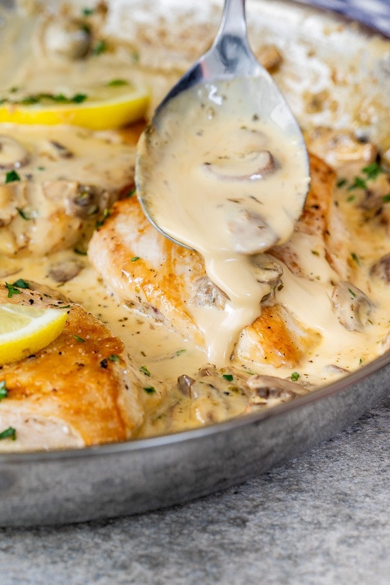 Chicken with mushroom sauce on a pot. 