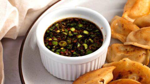 Appetizing Homemade Gyoza Sauce with Dumplings in a Plate