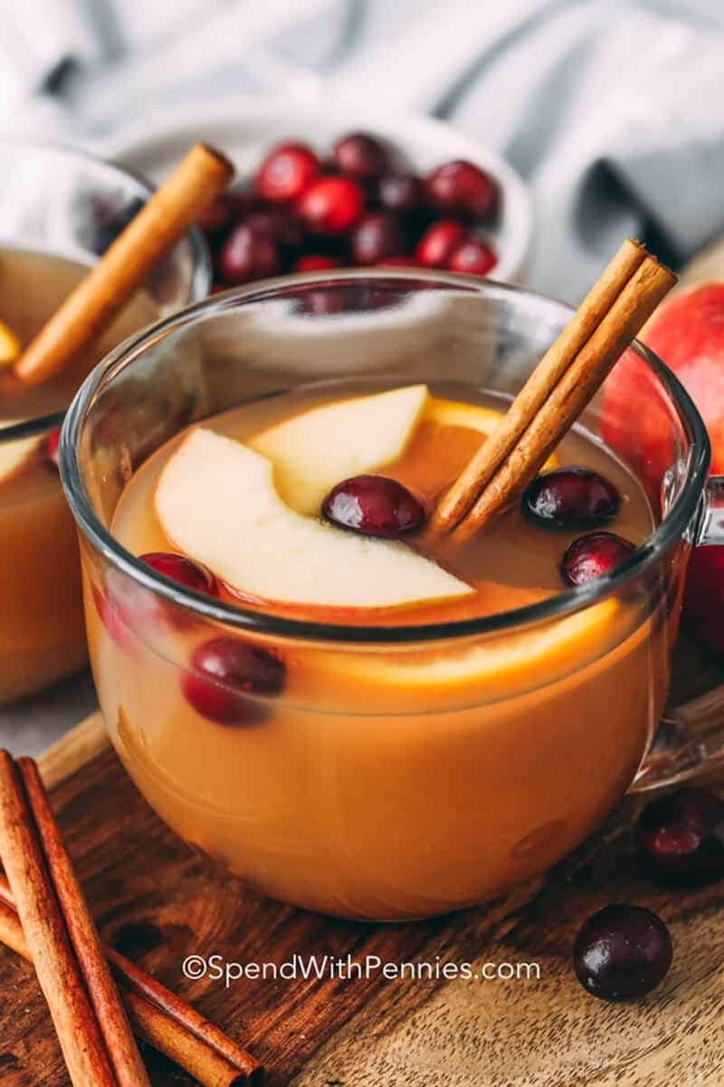 Glass bowl of apple cider with slices of apple and cranberry and cinnamon stick. 