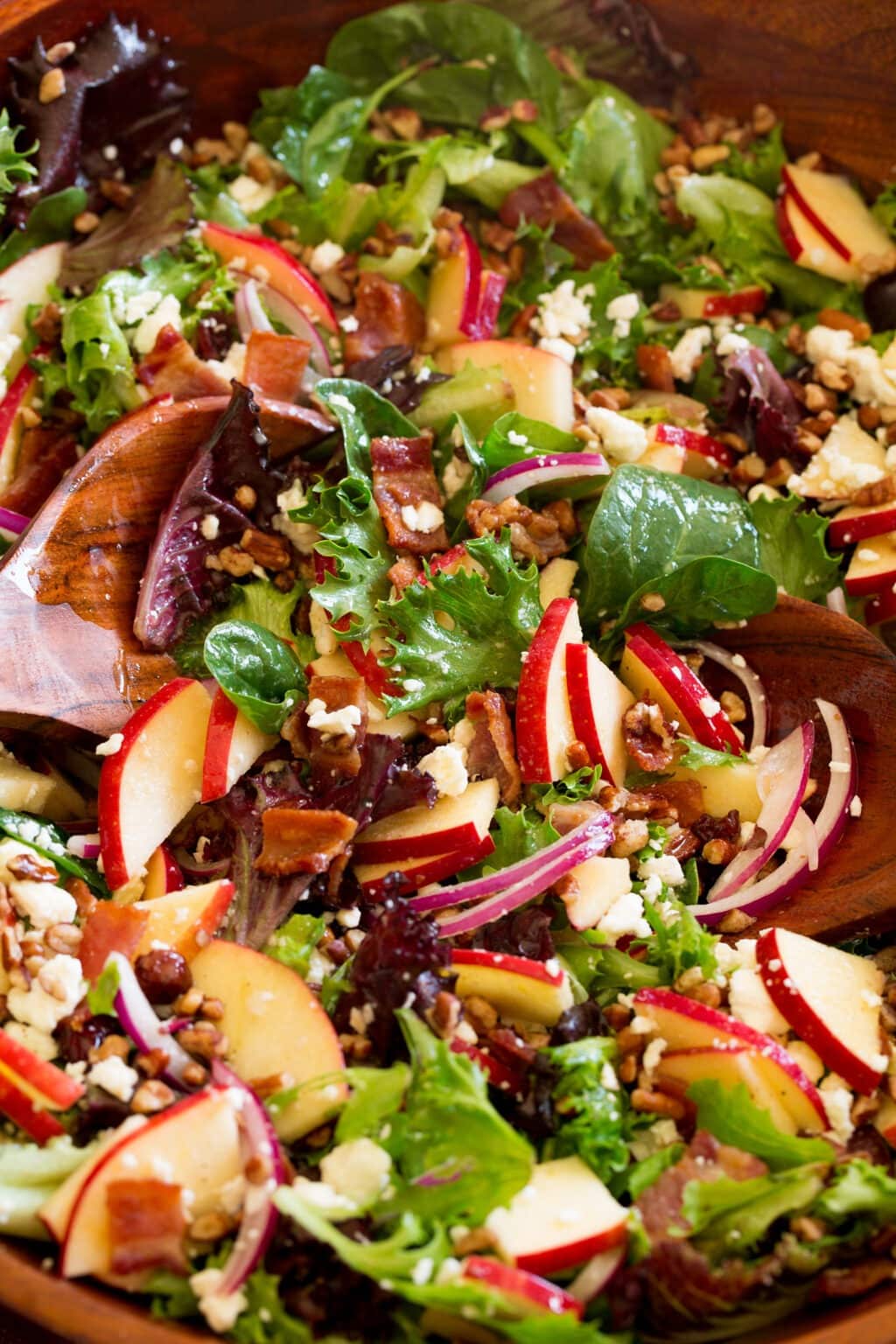 Salad with spring lettuce, thinly slice apples, pecans, feta cheese, dried cranberries, bacon, red onion and drizzled with maple cider vinaigrette  served in a wooden bowl with wooden spoon 