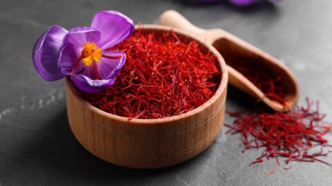 Dried Saffron with Crocus Flower on a Grey Table