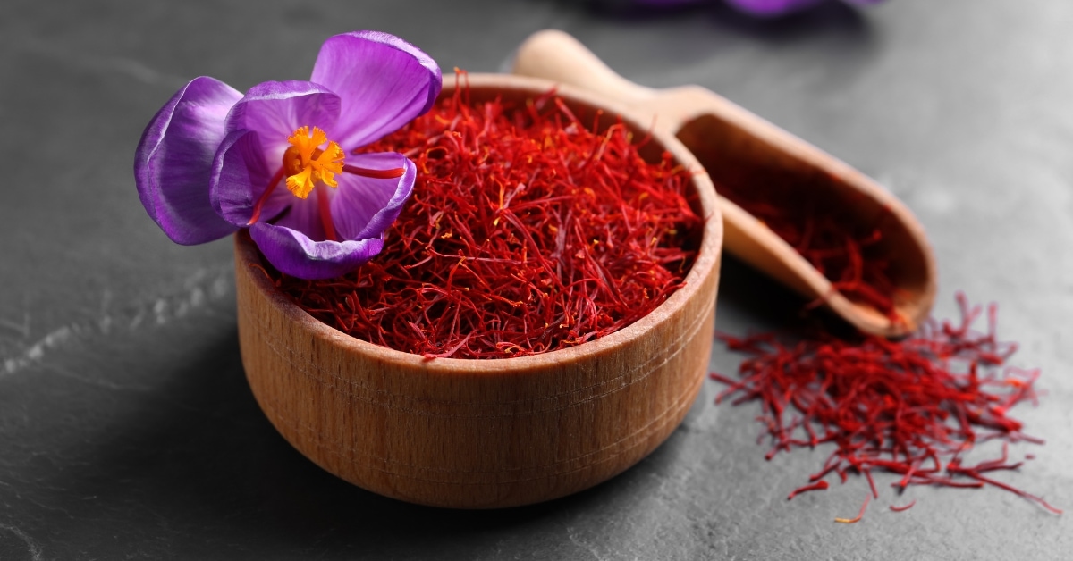 Dried Saffron with Crocus Flower on a Grey Table