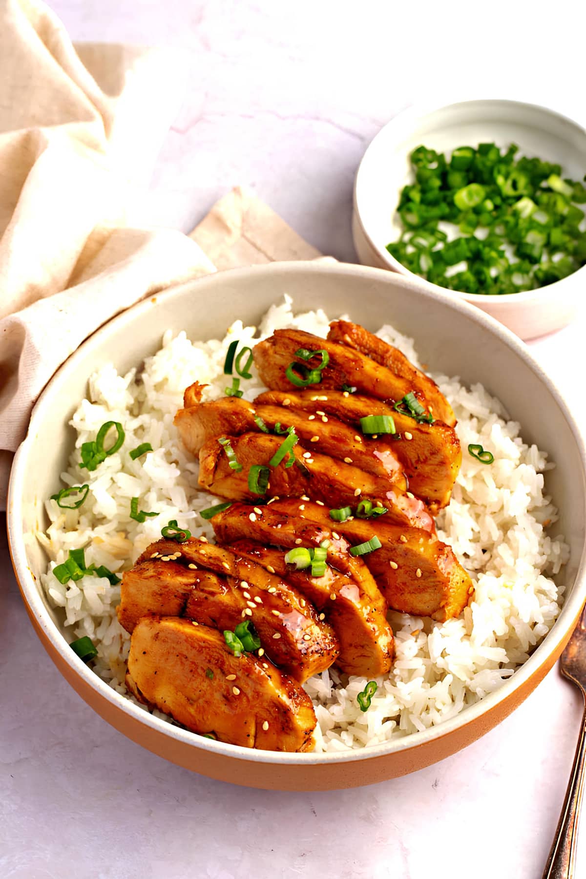 A bowl of savory chicken with rice, topped with green onions, garnished with soy glaze