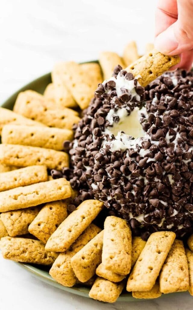 Cinnamon cracker dipped in chocolate chip coated cheeseball. 